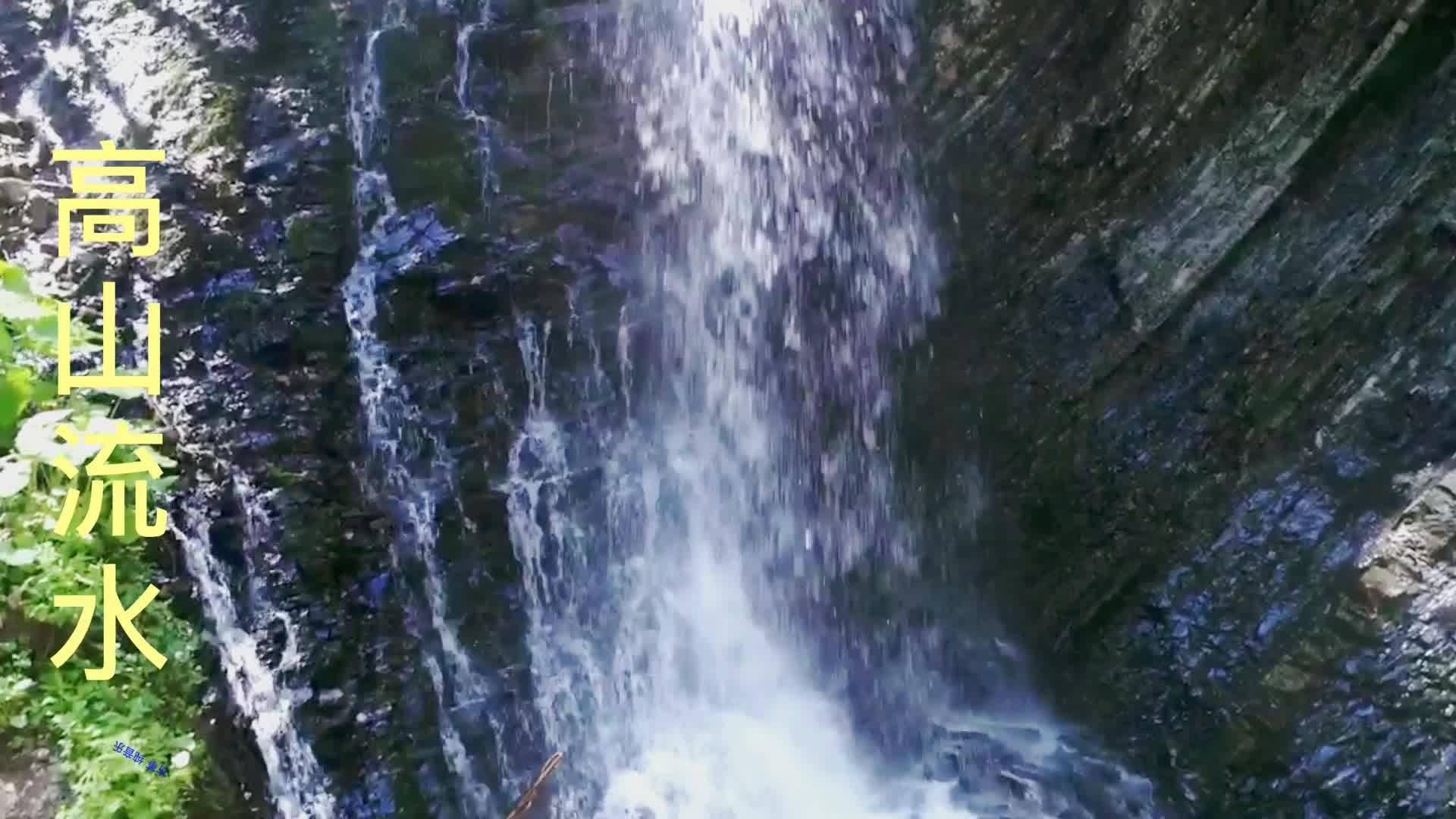 半地下花园式生活垃圾分类转运中心试运营